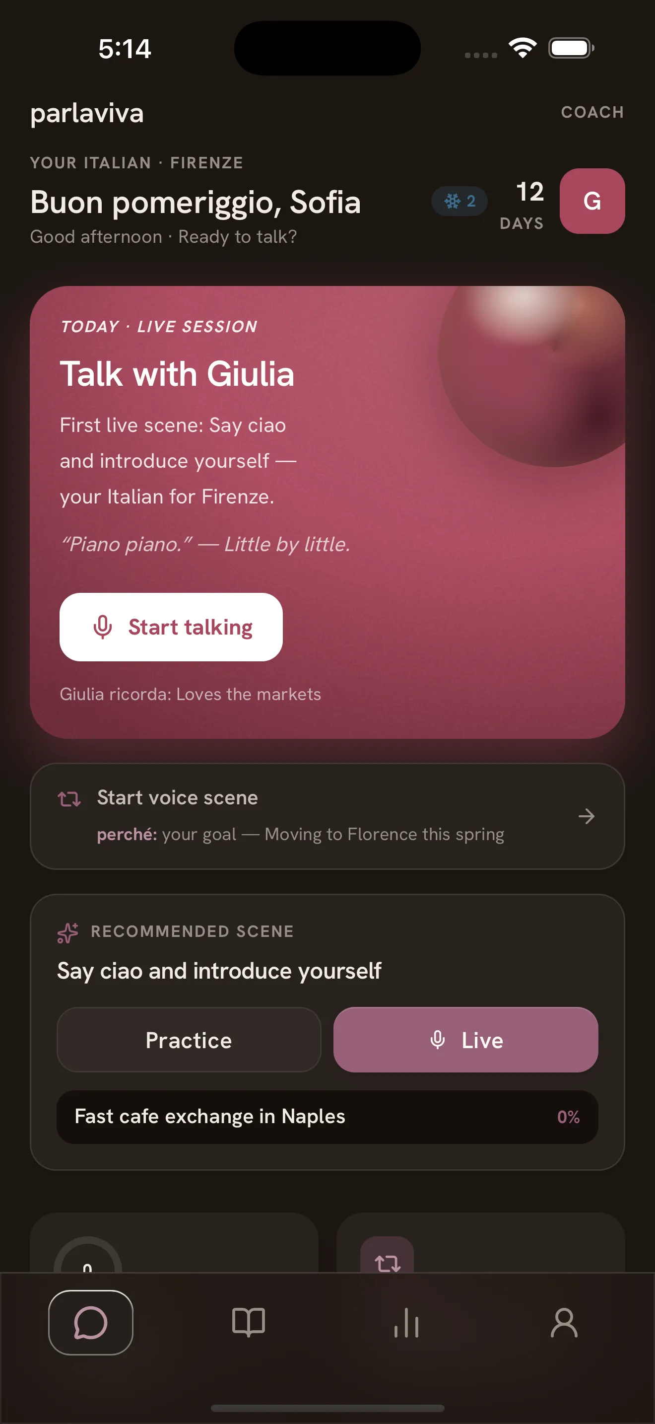 Parlaviva, screen 6