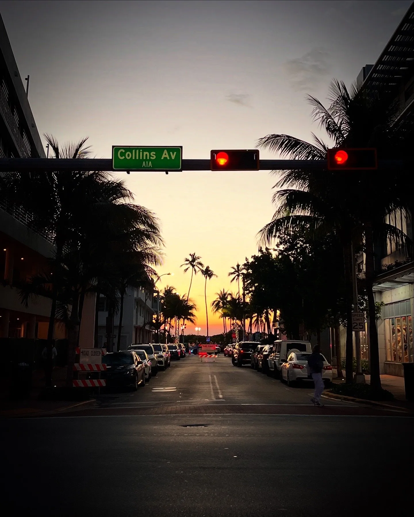 Palms, parked cars, and a sunset down the middle of the street.